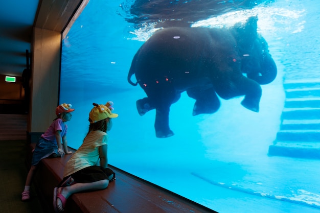 What marine life and attractions can one experience at the Miami Seaquarium?